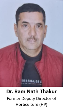 screenshot 2026 04 08 174754