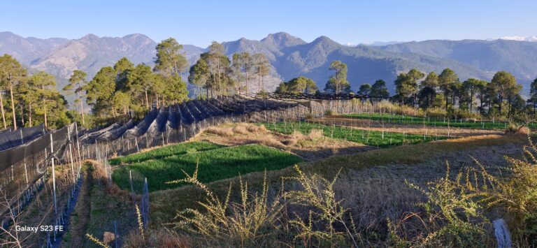 whatsapp image 2026 04 08 at 4.21.34 pm