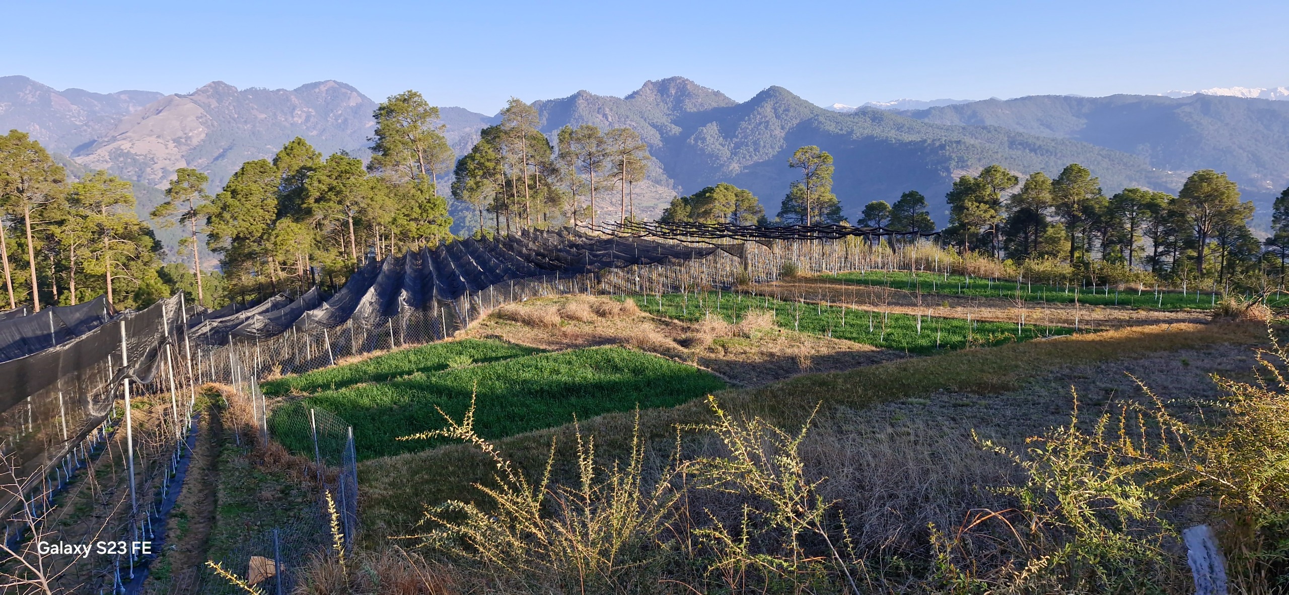 whatsapp image 2026 04 08 at 4.21.34 pm