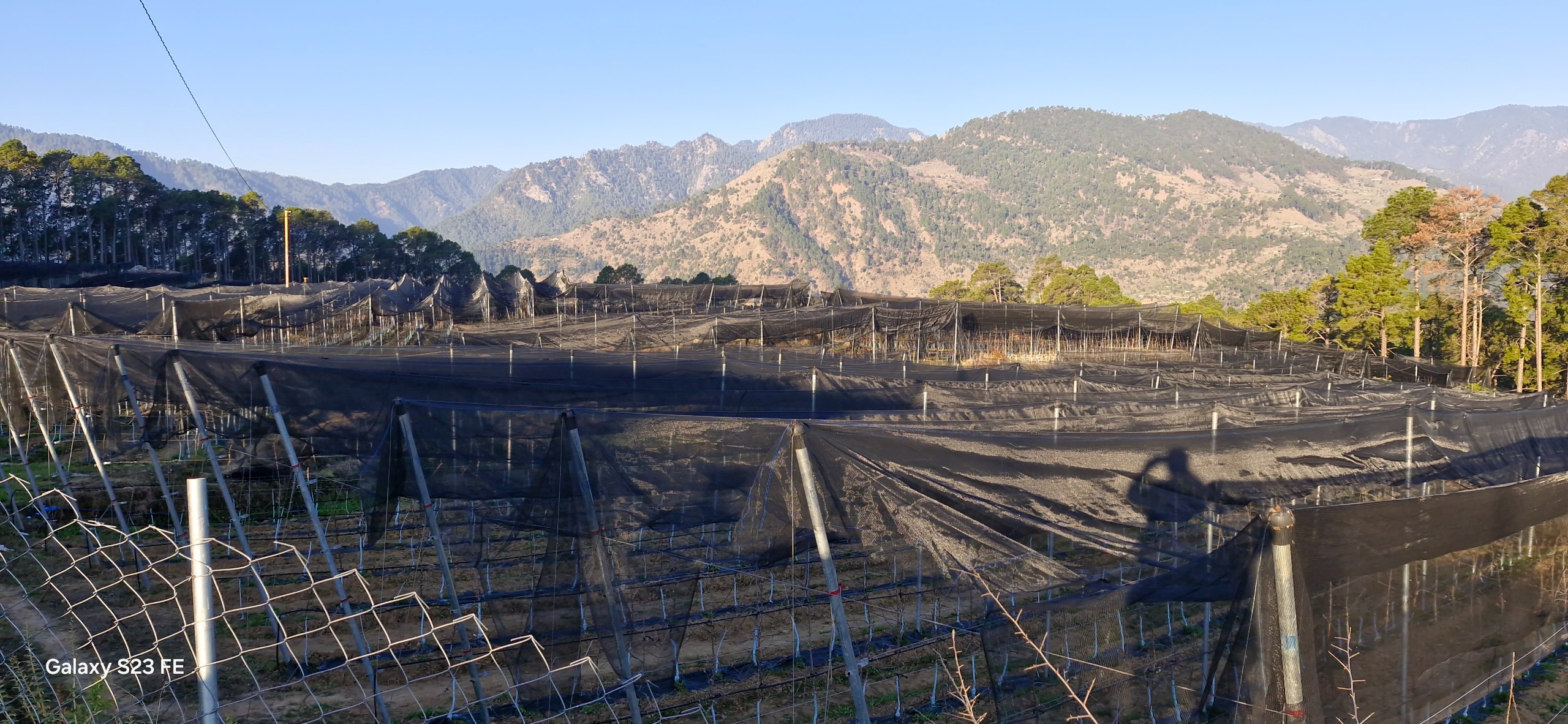 whatsapp image 2026 04 08 at 4.21.58 pm