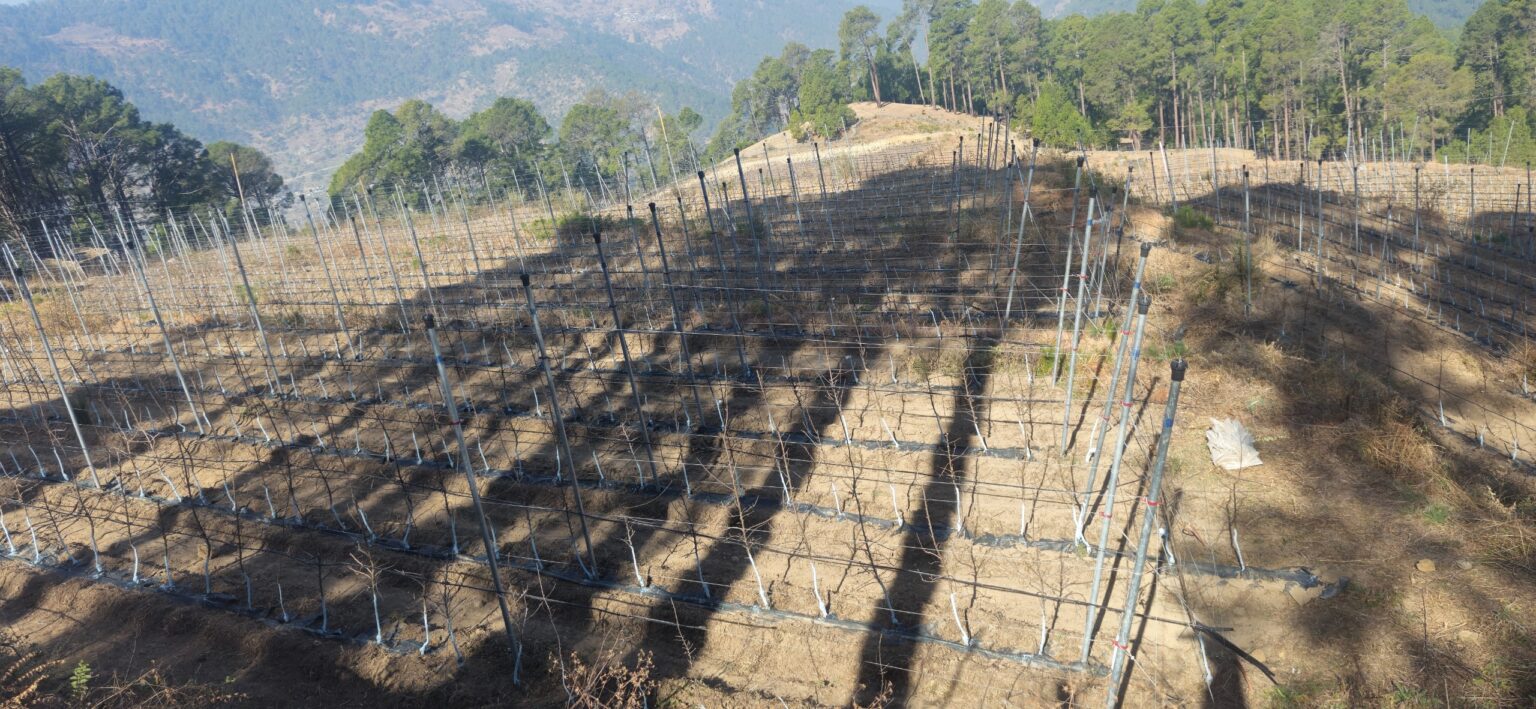 whatsapp image 2026 04 08 at 4.34.22 pm