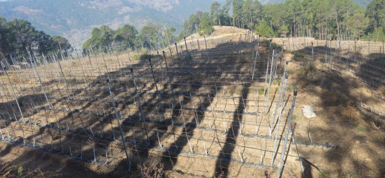 whatsapp image 2026 04 08 at 4.34.22 pm